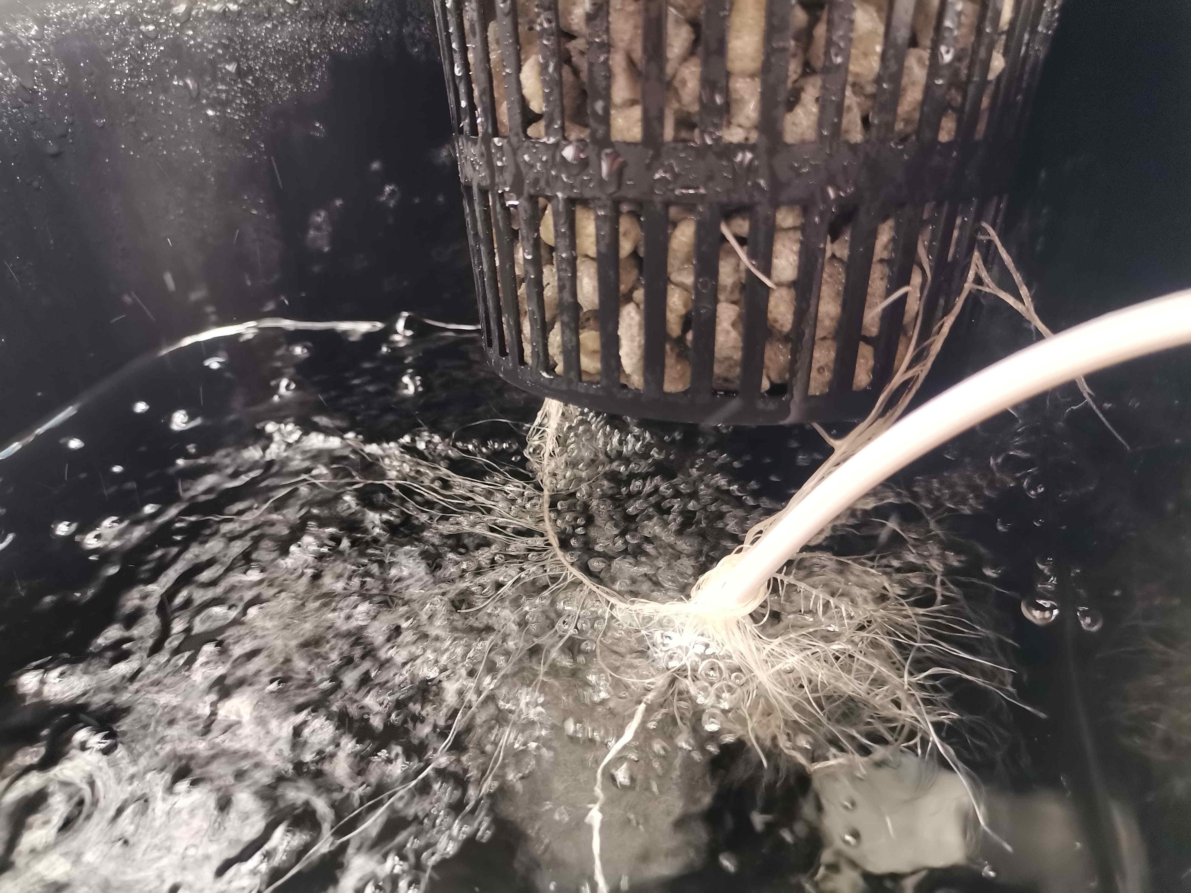 Beyond the Brain9.jpg