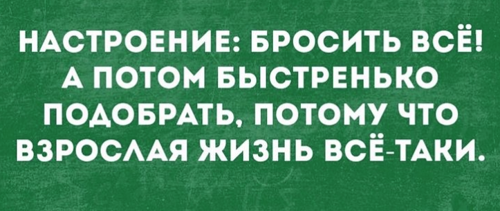 фани.PNG