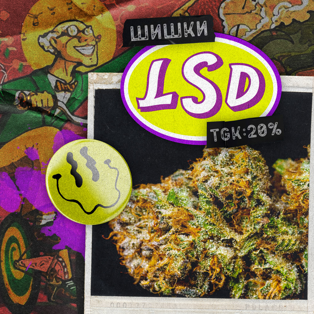 icon-lsd.jpg