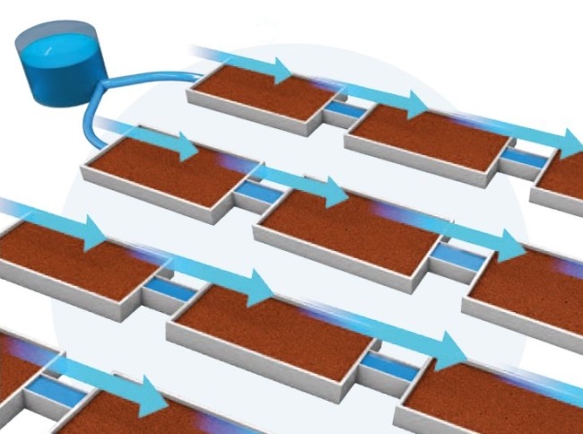 истоиря гидропоники.jpg