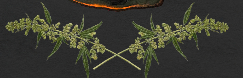 Opera Снимок_2022-11-28_001537_rutor.live.png