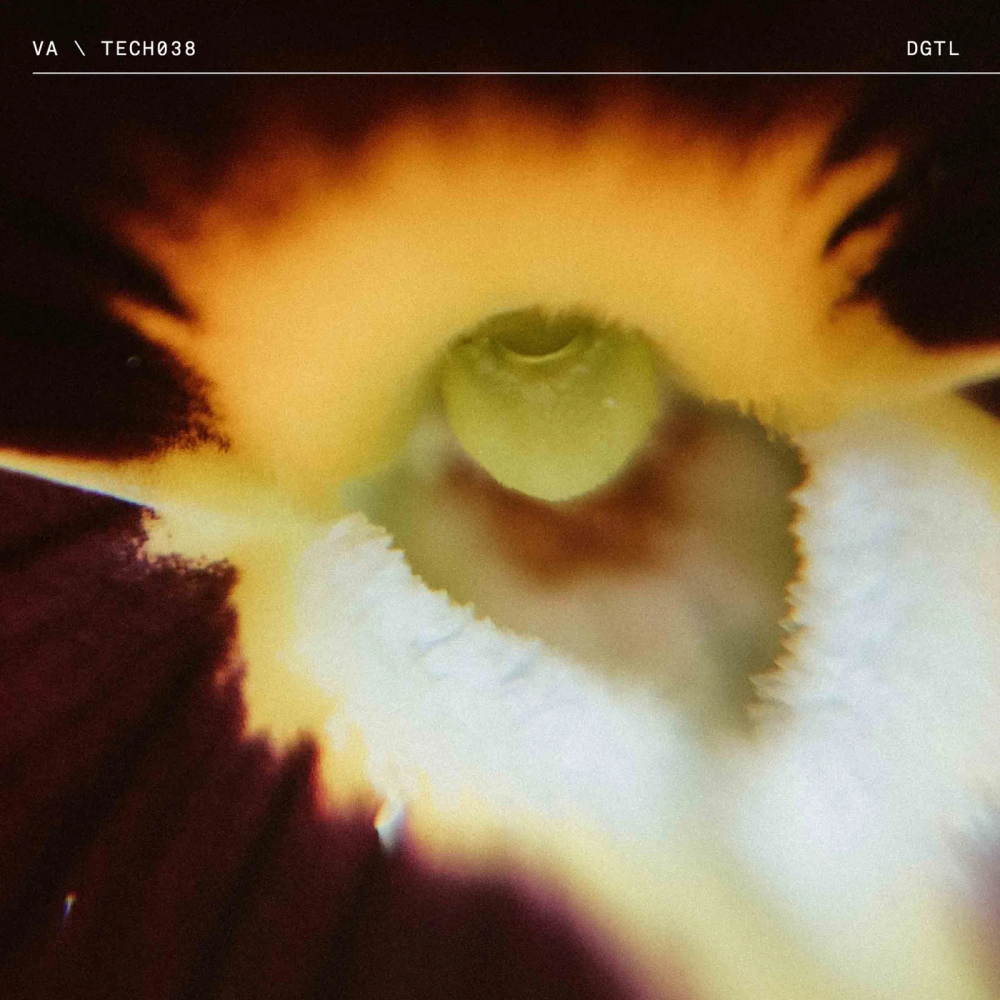 TECH038 Pt. 1 1000x1000.jpg