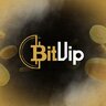 BITVIP_Support